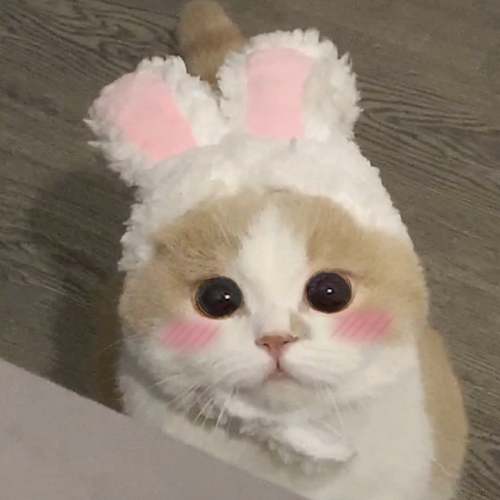 ɰȳͷȵСèСǷϲ