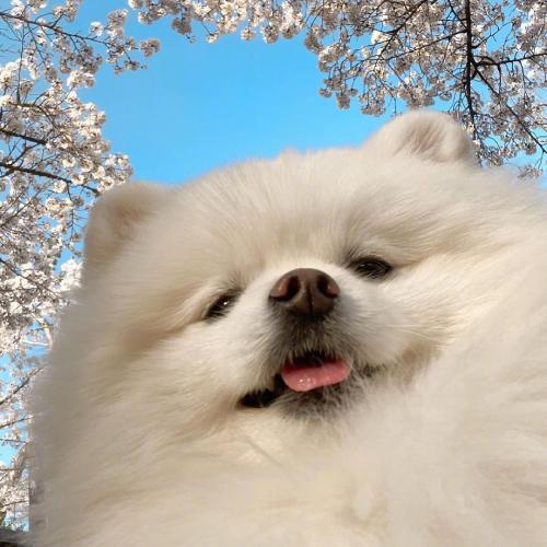 ɰȳͷȵСèСǷϲ