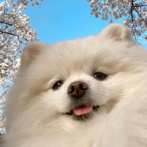ɰȳͷȵСèСǷϲ