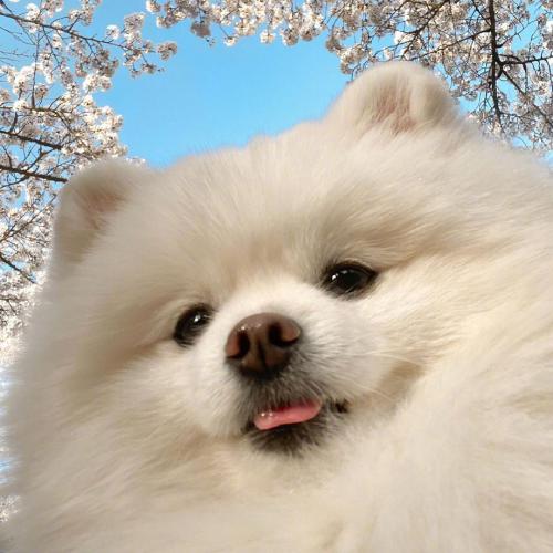 ɰȳͷȵСèСǷϲ