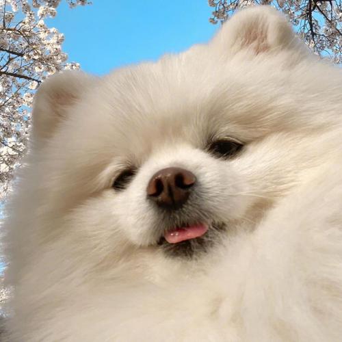 ɰȳͷȵСèСǷϲ