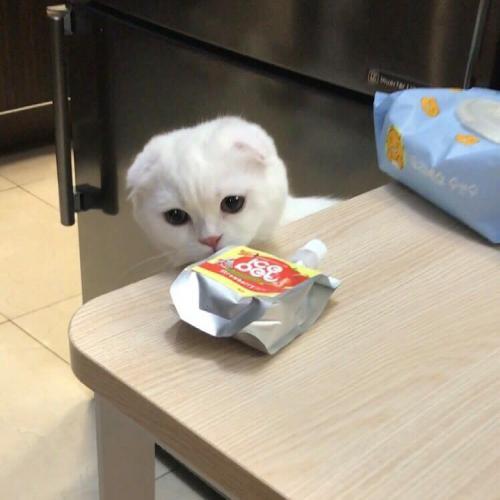 ɰȳͷȵСèСǷϲ