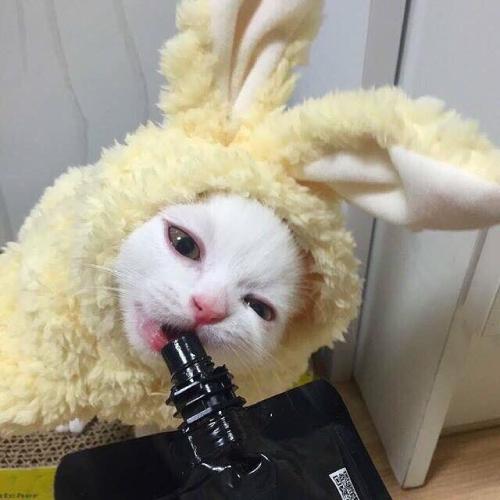 ȵͷͼƬɰ