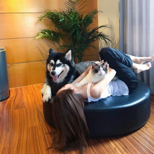 ΢ŮͷƯ