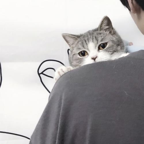 ˧ͷͼƬ˽ذ