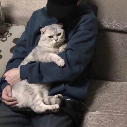 ˧ͷͼƬ˽ذ