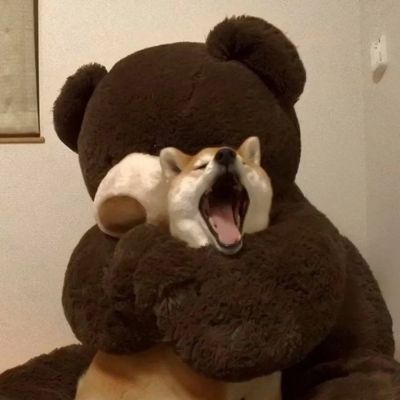 qqͷȫΨʱ