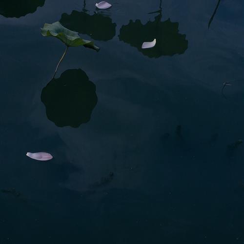 Ů΢ͷɻͼƬɻķ羰֮һ