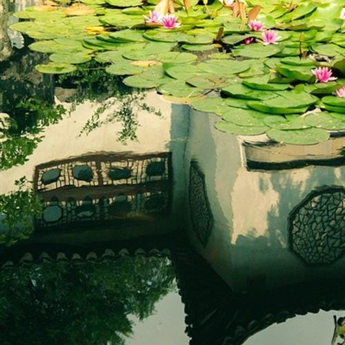 Ů΢ͷɻͼƬɻķ羰֮һ
