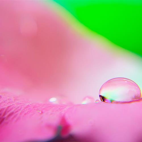 Ծ΢ͷͼƬ⾭40