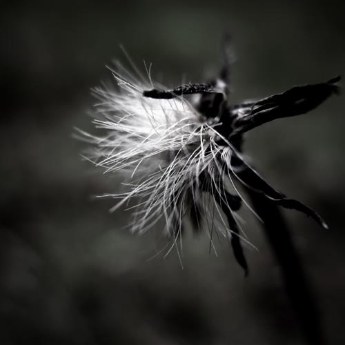 Ծ΢ͷͼƬ⾭40