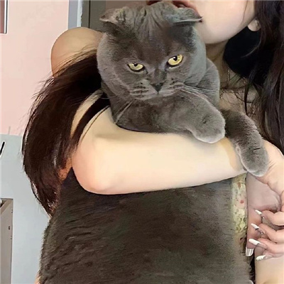 Сںÿͷ