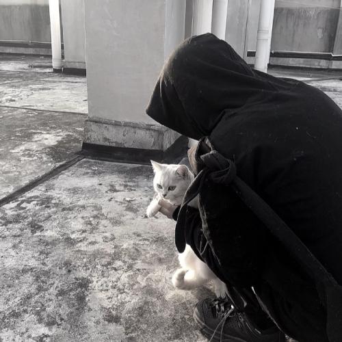 ͷͼƬ΢