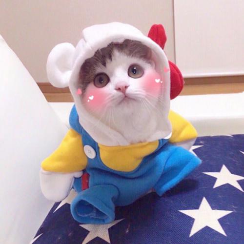 ɾŮͷ񣬶صʺһ