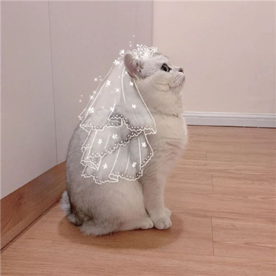 Сͷ˳ͷһ