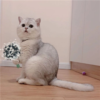 Сͷ˳ͷһ