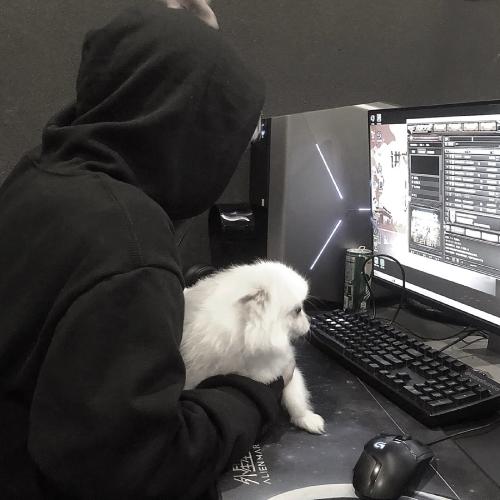 ͷ˧