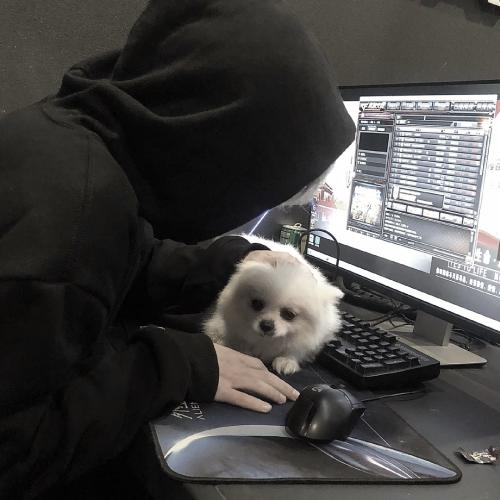 ͷ˧