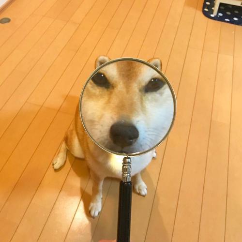 ͨͼƬһ