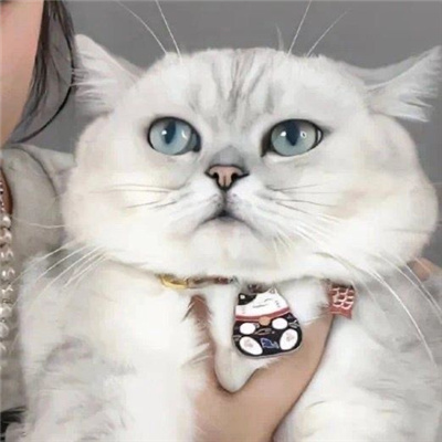 򵥸ɾϵͷ