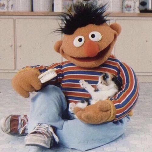 Щ˧ͷ