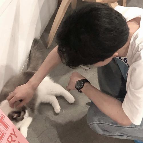 ʺ΢ͷ񣬷·ڱһظ