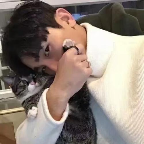 ʿͷ˧ԼȾÿһ