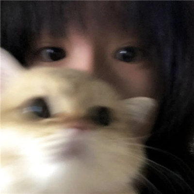 Ůͷ˰