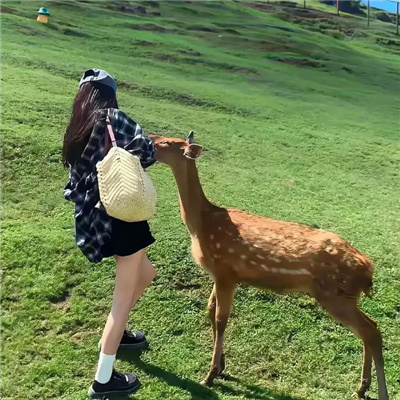 Եĵͷܺÿ