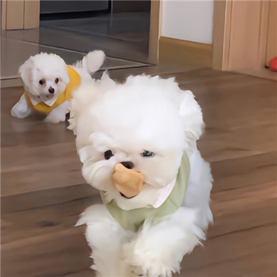 ͷֵ