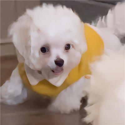 ͷֵ