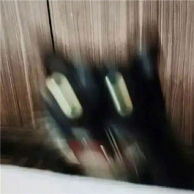 ԾܾĳСèͷ