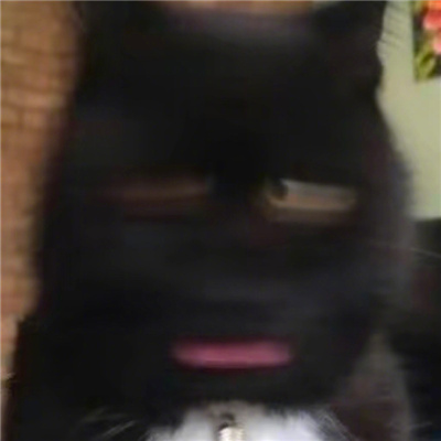 ԾܾĳСèͷ