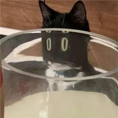 ԾܾĳСèͷ