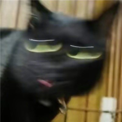 ԾܾĳСèͷ