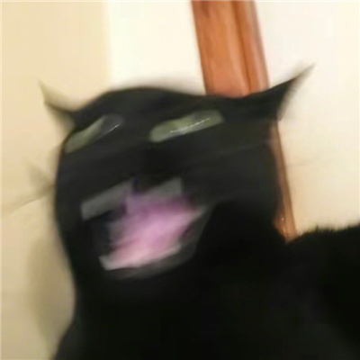 ԾܾĳСèͷ