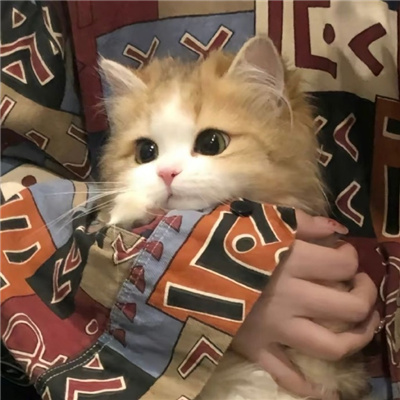 ҳͷ