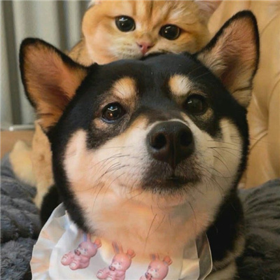 ɰèͷcp