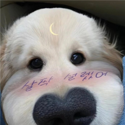 ɰèͷcp