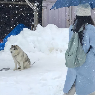 ¶˲Ůͷ