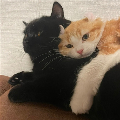 ŶҸͷȫ