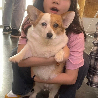 ŮСͷ޿ɰ