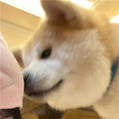 ŮСͷ޿ɰ