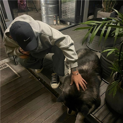 ʮõĳͷ
