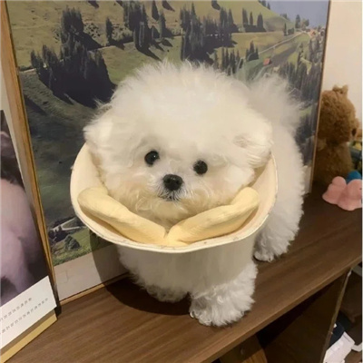 Сڸͷ᲻ɾ