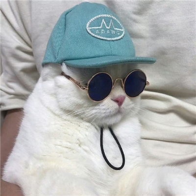 īſèͷ񳬰