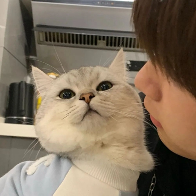 һĶͷܻ