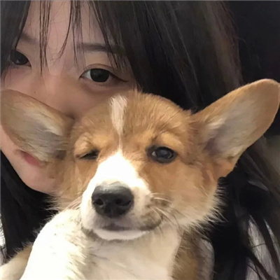 ݴͷܱ