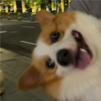ɰȳСͷϼ