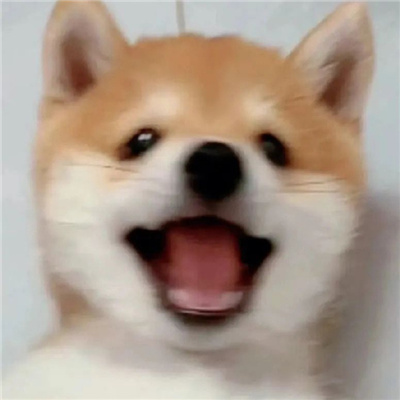 ɰȳСͷϼ